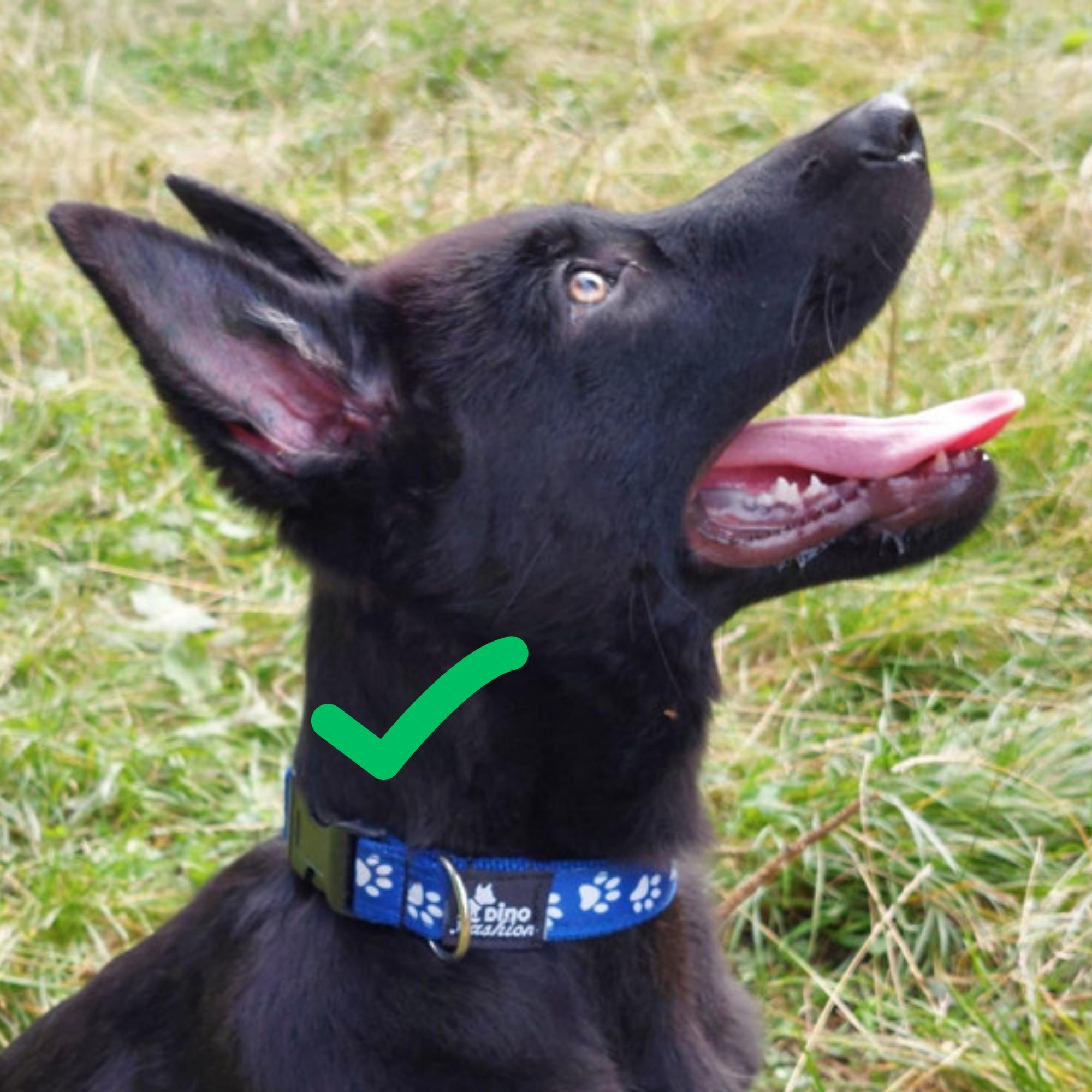 Návrh bez názvu - 2026-02-01T231818.801